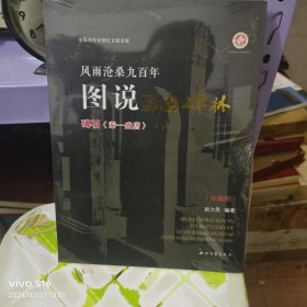 风雨沧桑九百年 图说西安碑林（碑石）秦--盛唐