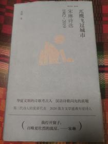 兀鹰飞过城市：宋琳诗选1982-2019