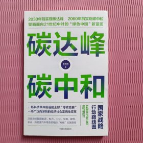 碳达峰碳中和：国家战略行动路线图 袁志刚 循环经济 低碳经济 环境气候