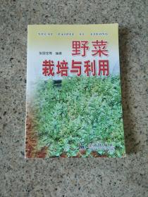 野菜栽培与利用