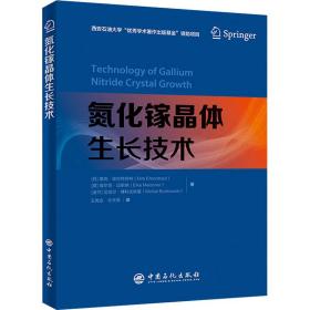 氮化镓晶体生长技术 新材料 ()德克·埃伦特劳特,(德)埃尔克·迈斯纳,(波)迈克尔·博科夫斯基