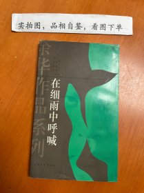 在细雨中呼喊