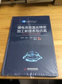 锂电高效激光精密加工新技术与仿真