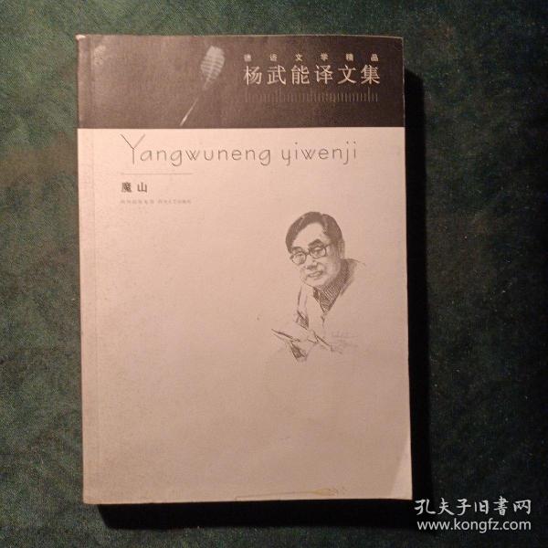 杨武能译文集：魔山：德语文学精品