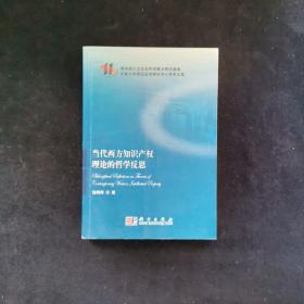 吉林大学理论法学研究中心学术文库：当代西方知识产权理论的哲学反思