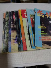 杂志 武林 1993、1994、1995 11本合售.