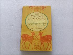 The Practice of Happiness：Exercises & Techniques for Developing Mindfulness, Wisdom, and Joy