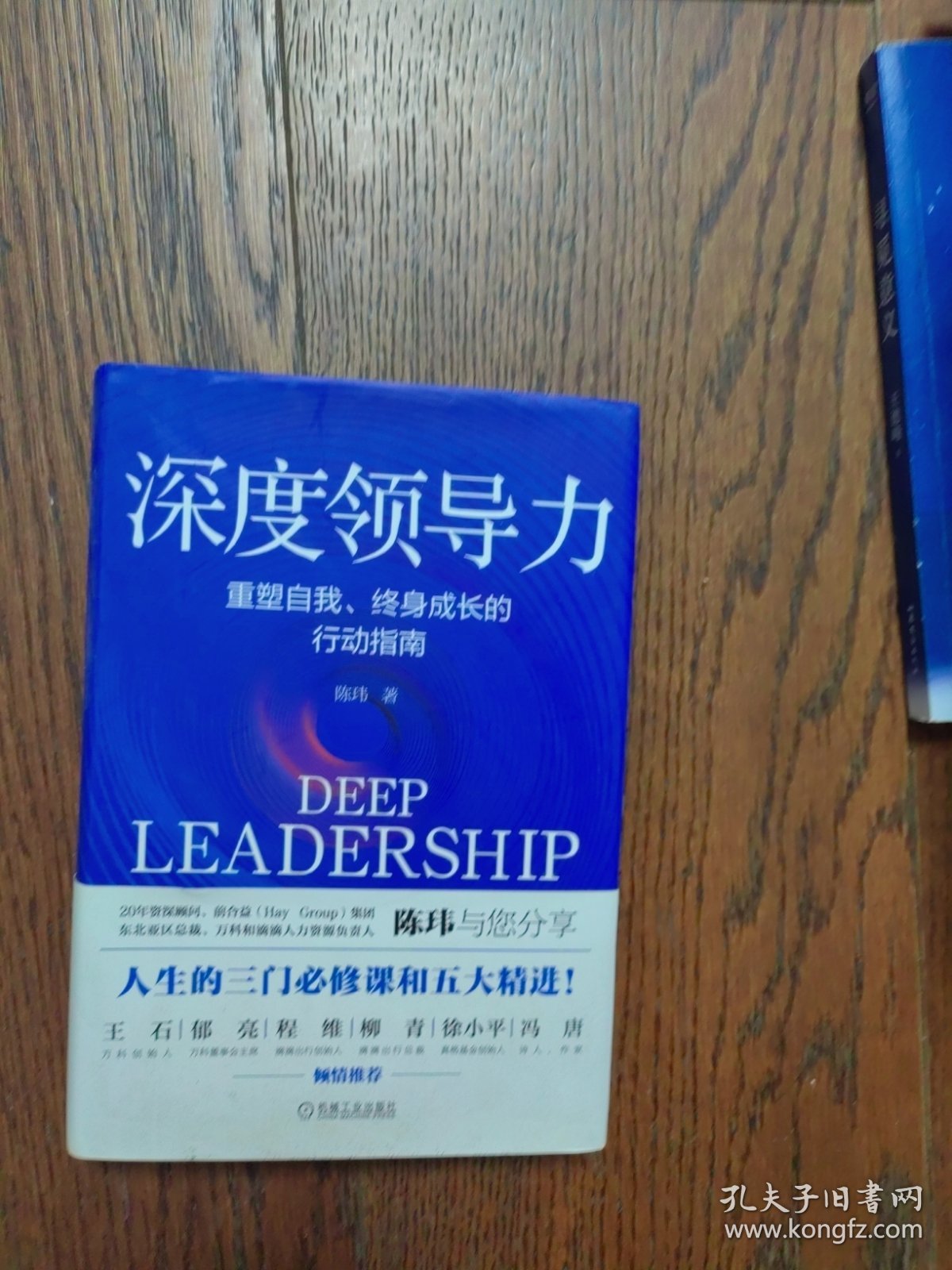 深度领导力：重塑自我、终身成长的行动指南