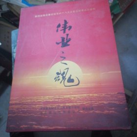 伟业之魂24DVD