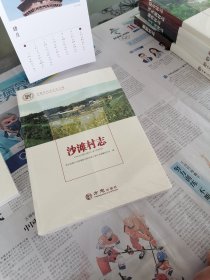 沙滩村志/中国名村志文化工程