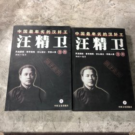 汪精卫全传  上下