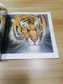 名家逸品.第一卷.孟祥顺