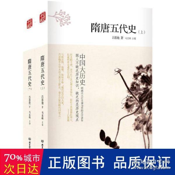 中国大历史——隋唐五代史（套装上、下册）（第2版）