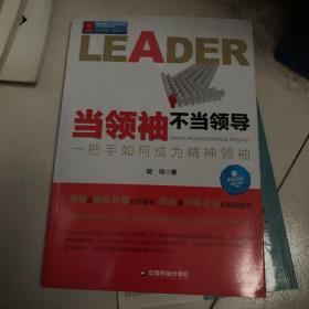 中国100强名师名作·当领袖不当领导：一把手如何成为精神领袖