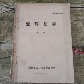 爱辉县志 社会