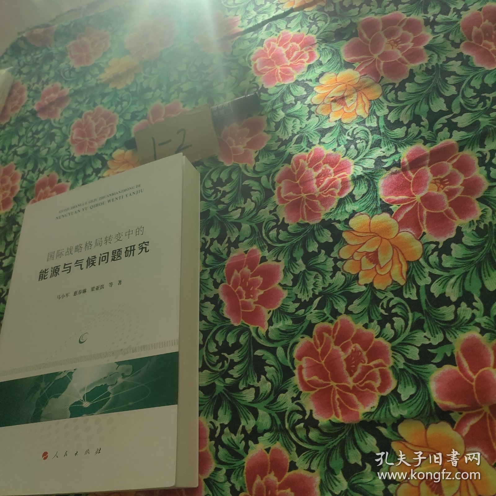 国际战略格局转变中的能源与气候问题研究