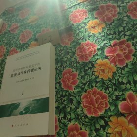 国际战略格局转变中的能源与气候问题研究