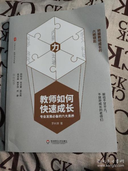 教师如何快速成长：专业发展必备的六大素养 大夏书系