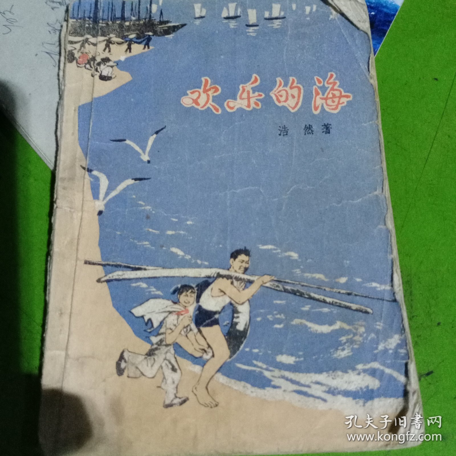 欢乐的海