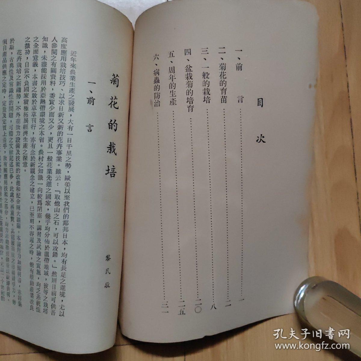 菊花  花卉浅说第二号