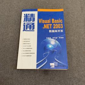 精通Visual Basic.NET 2003数据库开发