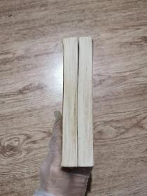 南词新谱（上下册）