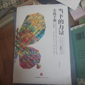 当下的力量实践手册（白金版）