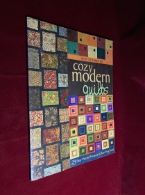 COZY MODERN QUILTS 舒适的现代被子