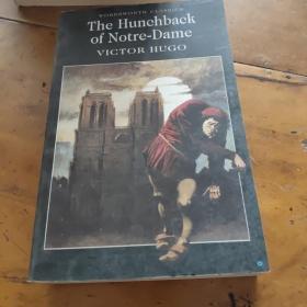 The Hunchback of Notre-Dame巴黎圣母院的驼背