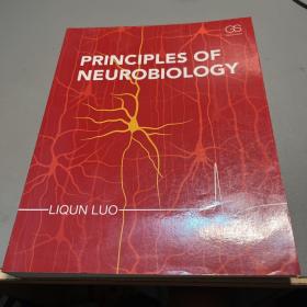 Principles of Neurobiology 英文原版 神經(jīng)生物學(xué)原理