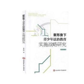 新形势下青法治教育实施战略研究 法律实务 曾庆玫 新华正版