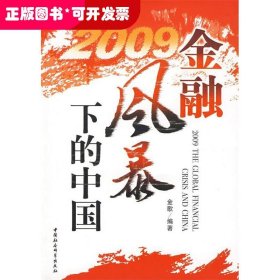 2009金融风暴下的中国