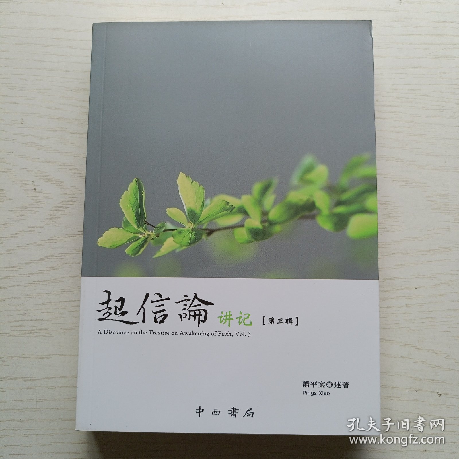 起信论讲记 第三辑