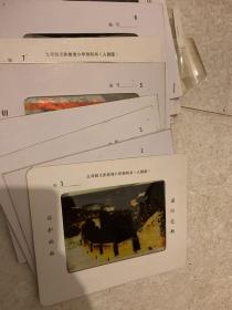 幻灯片（九年制义务教育小学教科书）人教版19张