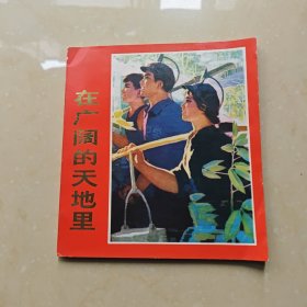 在广阔的天地里