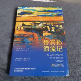 世界名著名家名译: 鲁滨孙漂流记（原著无删减）