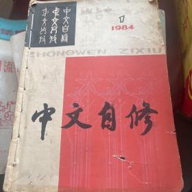 中文自修1984