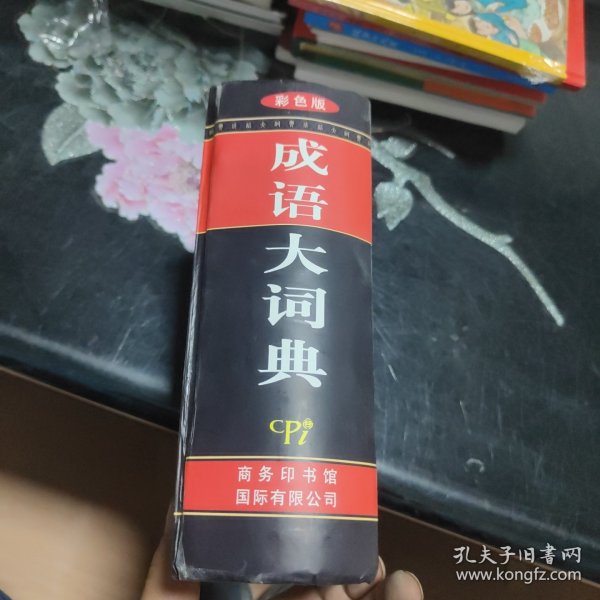 成语大词典：彩色版