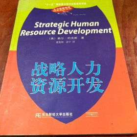 战略人力资源开发——“十一五”国家重点图书出版规划项目