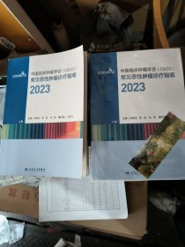 中国临床肿瘤学会（CSCO）常见恶性肿瘤诊疗指南2023 上下
