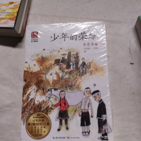 少年的荣耀（新版暖心美读书·名师导读版）