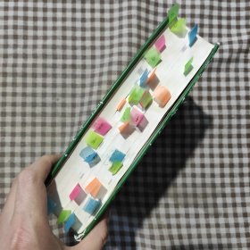 东南亚国家语言辞书系列:新越汉词典