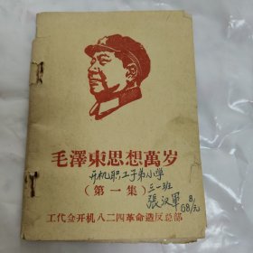 毛泽东思想万岁(第一集)