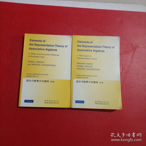 结合代数表示论基础(第1卷)