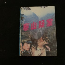泰山疑案