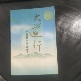 大道行~访孤独居士王力平先生