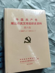 中国共产党湖北省武汉市组织史资料第六卷（2007.1一2012.1）