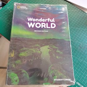 Wonderful World 3 4 second edition（未开封）