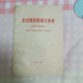 党内两条路线斗争史