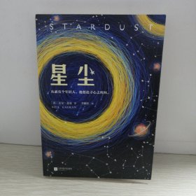 星尘（一部风靡全球的奇幻小说！）